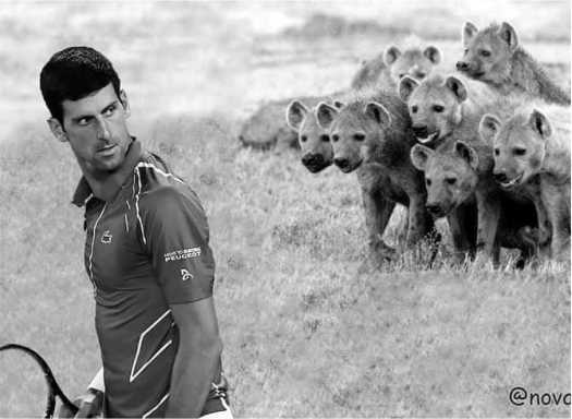 Lav medju hijenama  Novak Djokovic